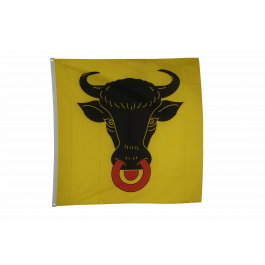 Fahne Kanton Zürich – 150 X 150 Cm, Polyester, Mit Metallösen, Wetterfest