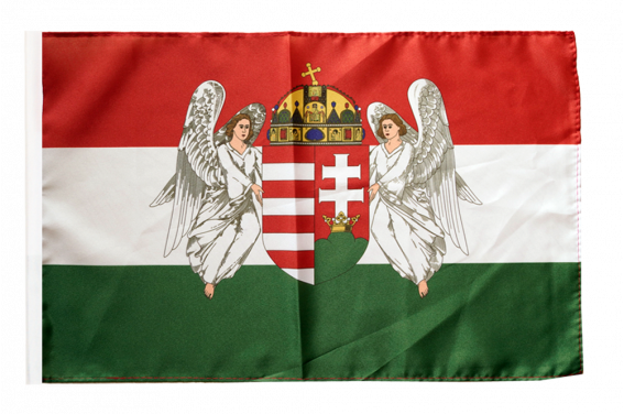 KÖNIGSBANNER Flagge Sonneberg SON 40x60 Cm – Doppelt Gesäumt, Made In Germany, Wind- & Lichtecht