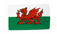 Flagge Wales - 10er Set - 30 x 45 cm