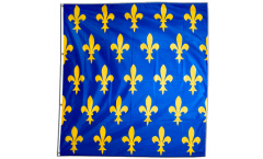 Flagge Frankreich Lilienwappen, blau - 150 x 150 cm