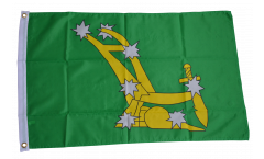 Flagge Irland Starry Plough grün 1916-1934