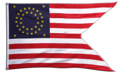 Flagge USA Cavalry Guidon