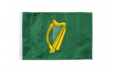 Flagge mit Hohlsaum Irland Leinster